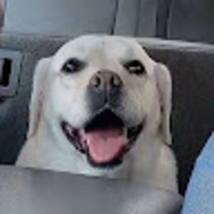 Meet your Posher, Amber ara